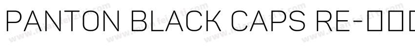 Panton Black Caps Re字体转换